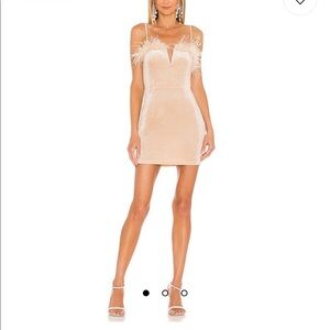 Erika feather trim mini dress